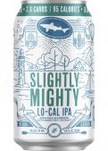 Dogfish Head - Slightly Mighty LoCal IPA