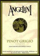 Angelini - Pinot Grigio Delle Venezie 2024